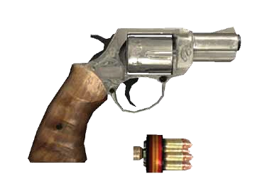 Colt Detective Special